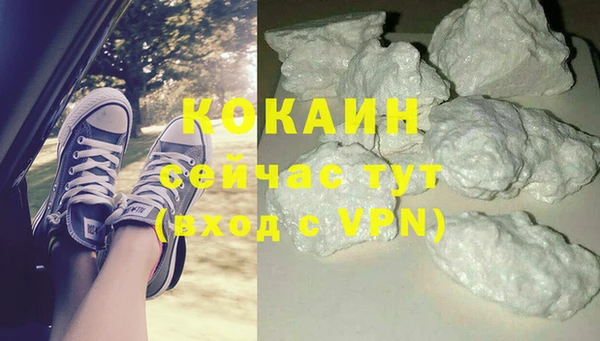 крисы Алзамай