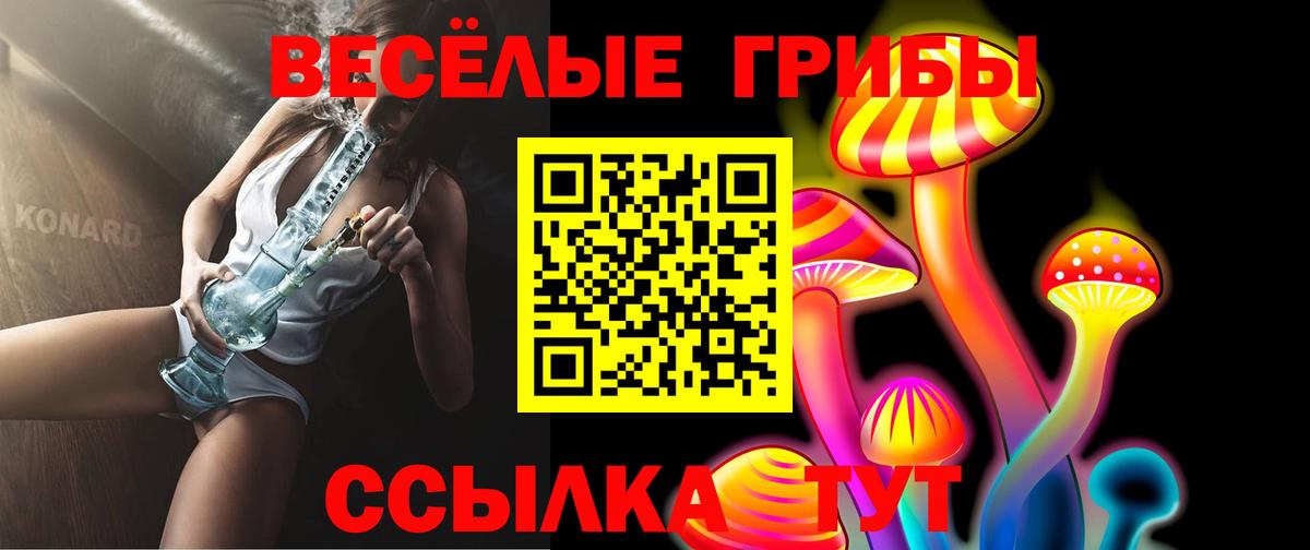 Галлюциногенные грибы Psilocybine cubensis  Вход с VPN  Ртищево 