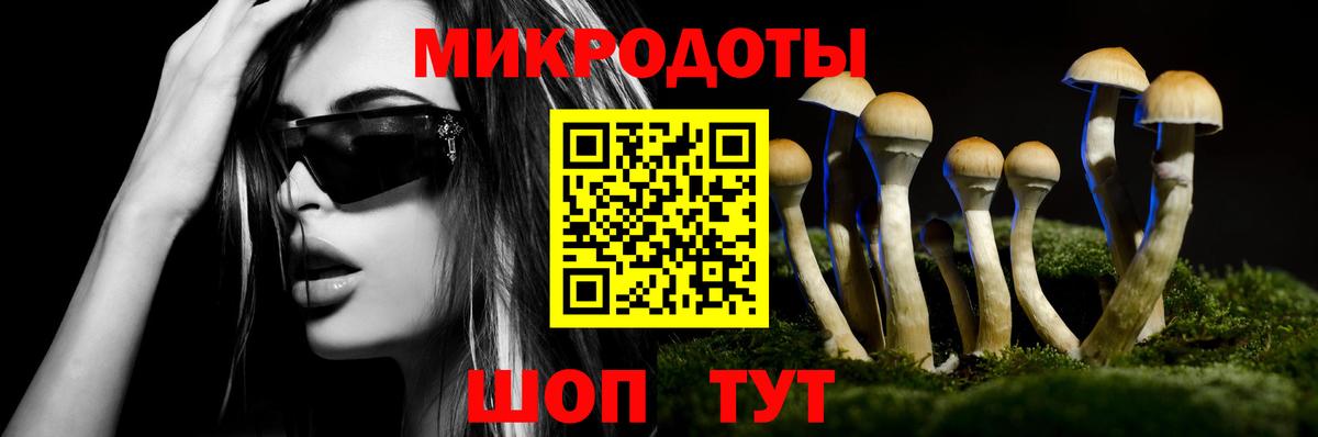 Галлюциногенные грибы прущие грибы Ртищево